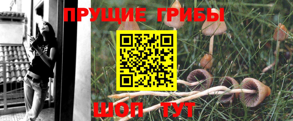 Галлюциногенные грибы Cubensis Щёлково