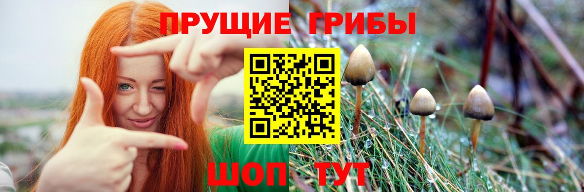 Псилоцибиновые грибы прущие грибы  Вход с VPN  Щёлково  Галлюциногенные грибы Magic Shrooms 